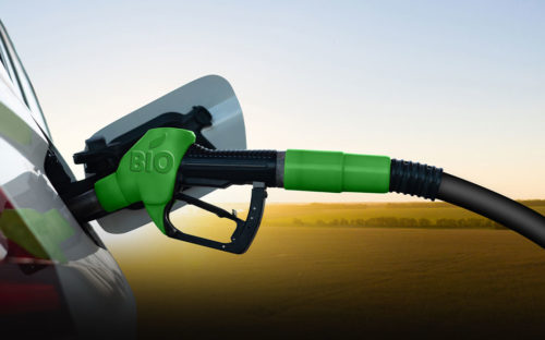 Fuel Types for Best MPG Cars