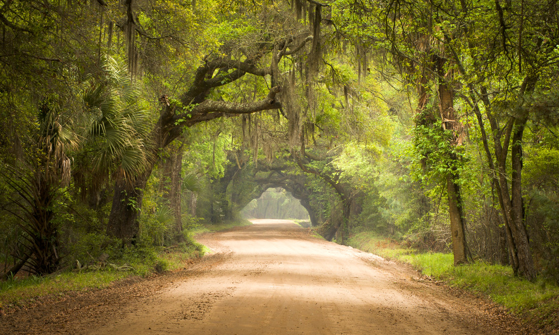 Botany Bay, Edisto Island, South Carolina