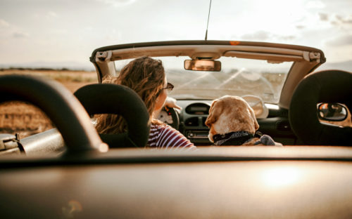 girl driving convertible with dog