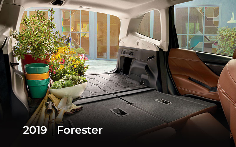 Forester Cargo Interior