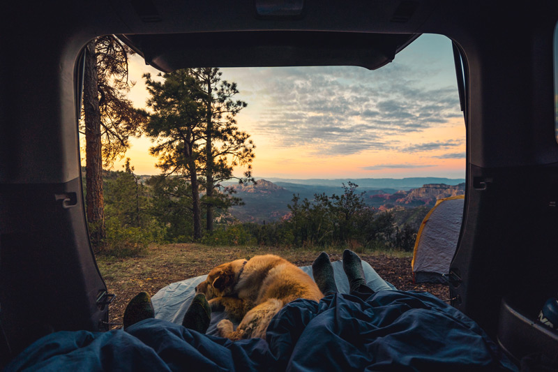 car camping in the back of an suv