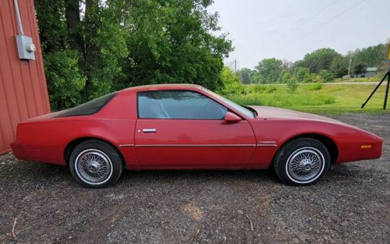 1983 Pontiac Firebird - carsforsale.com