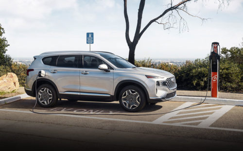 Hybrid vs Electric Cars: What You Need to Know