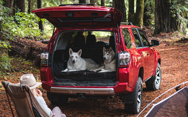 2021 Toyota 4Runner - toyota.com