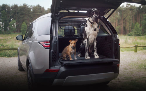 Best Dog Friendly Cars