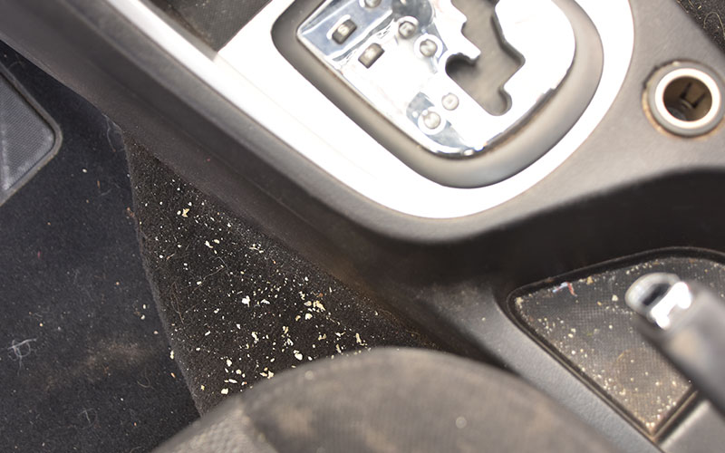 Best Car Vacuums Helping Keep Your Ride Clean