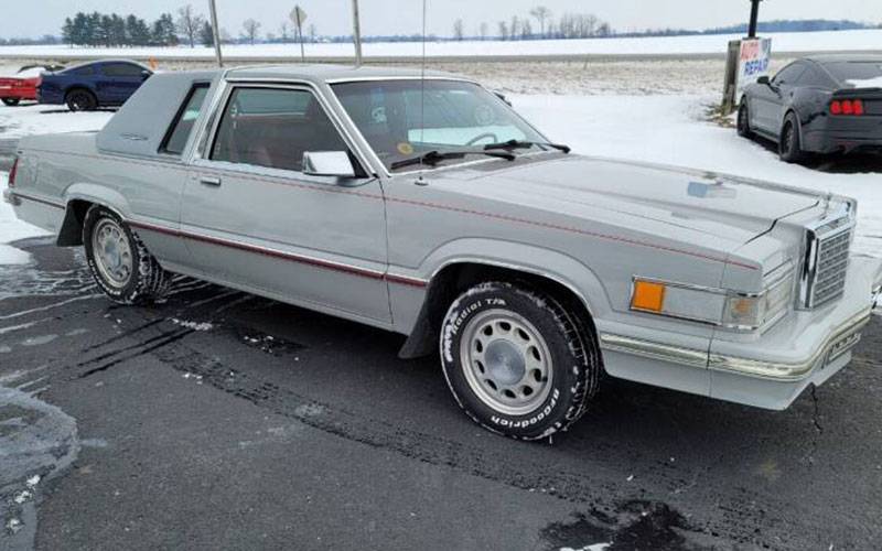 1980 Ford Thunderbird - carsforsale.com