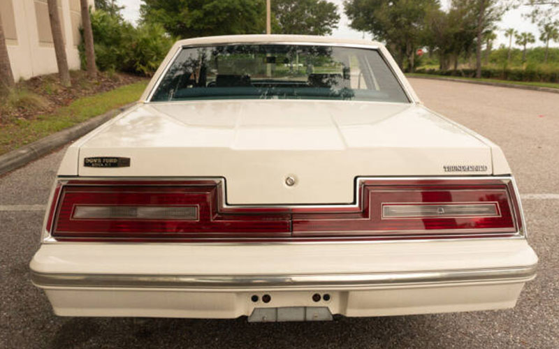 1980 Ford Thunderbird - carsforsale.com