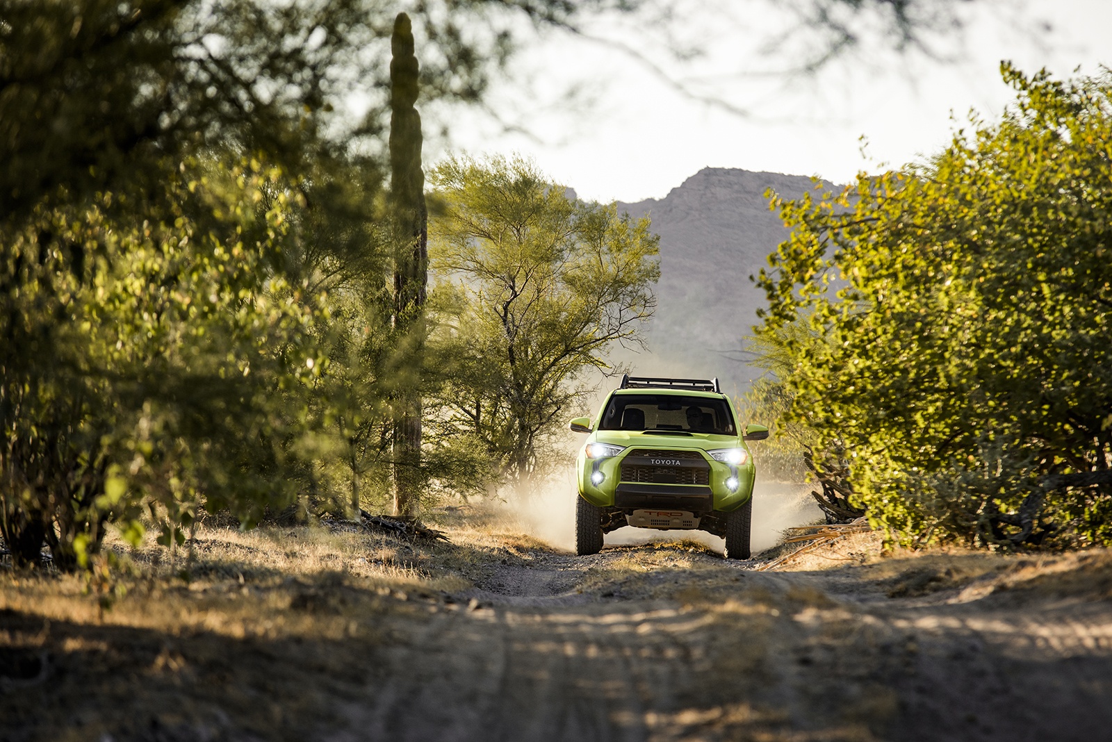 2022 Toyota 4Runner - pressroom.toyota.com