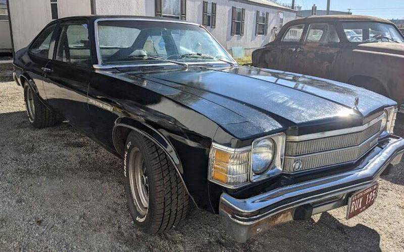 1975 Buick Skylark - carsforsale.com