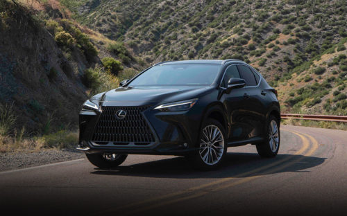 2022 Lexus NX: Options Galore