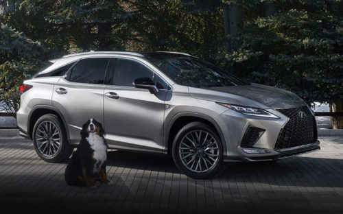 2022 Lexus RX: The Classy Crossover