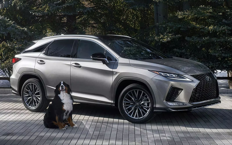 2022 Lexus RX - lexus.com
