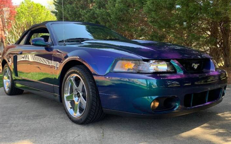 2004 Ford Mustang SVT Cobra - carsforsale.com