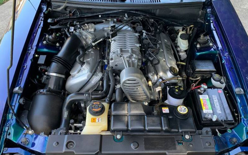 2004 Ford Mustang SVT Cobra 4.6L V8 - carsforsale.com