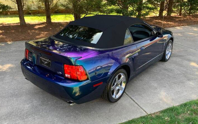 2004 Ford Mustang SVT Cobra - carsforsale.com