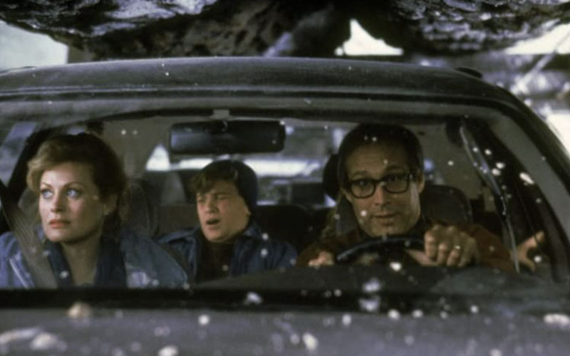 Scene from Christmas Vacation - imdb.com