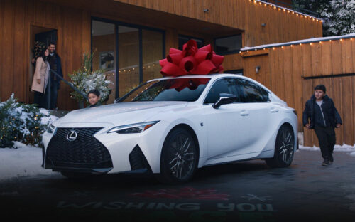 The Christmas Car Bow