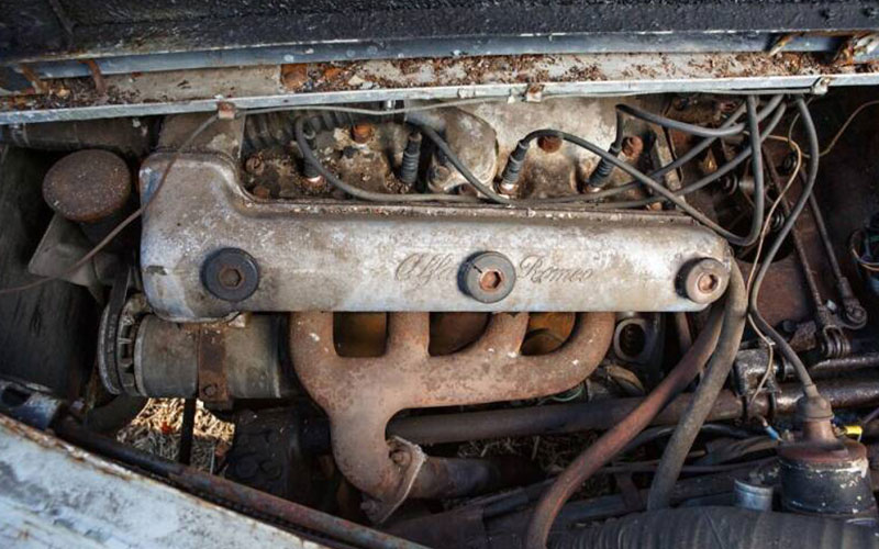 1952 Alfa Romeo 1900C - carsforsale.com 1952 Alfa Romeo 1900C - carsforsale.com