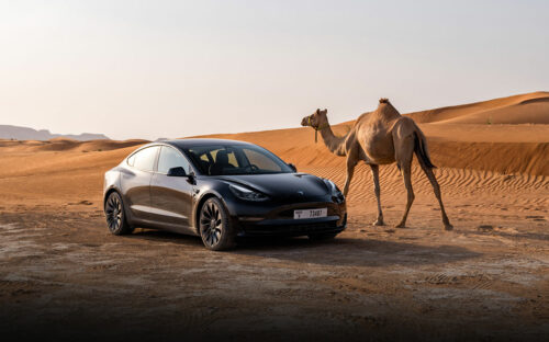 2023 Tesla Model 3 Review: Still a Cool Little EV