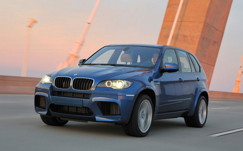 2010 BMW X5 M - netcarshow.com
