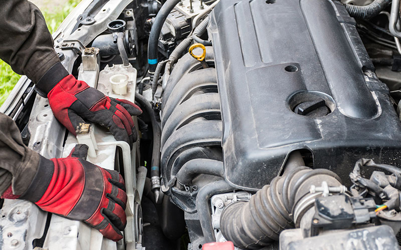 Cooler assembly Cooler assembly