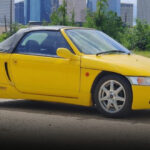 Critics’ Choice: Classic Imports