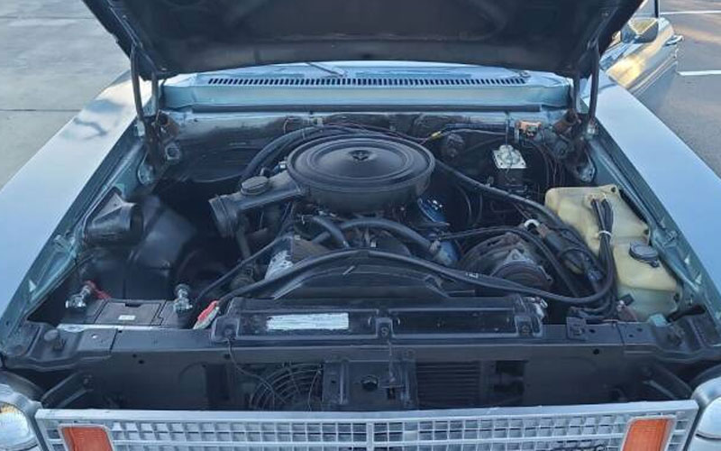 1975 Chevrolet Nova - carsforsale.com