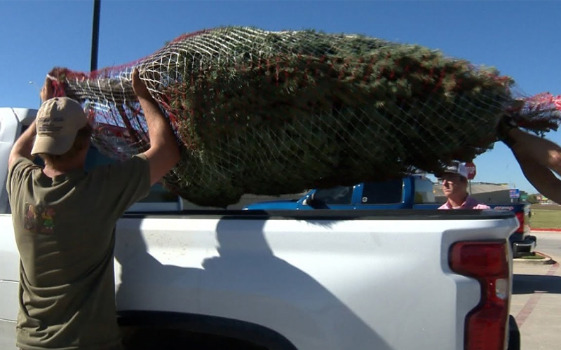 Loading Christmas tree into truck bed - KSAT 12 on Youtube Loading Christmas tree into truck bed - KSAT 12 on Youtube