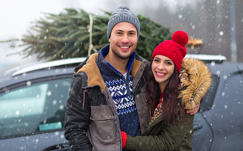 christmastree3 A couple picking out their Christmas tree