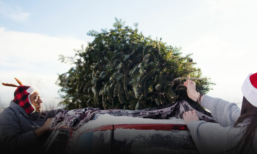 Tips for Hauling a Christmas Tree