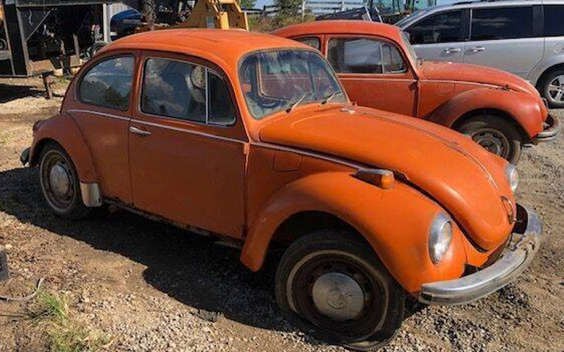1971 Volkswagen Beetle - carsforsale.com