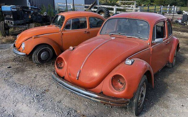 1971 Volkswagen Beetle - carsforsale.com