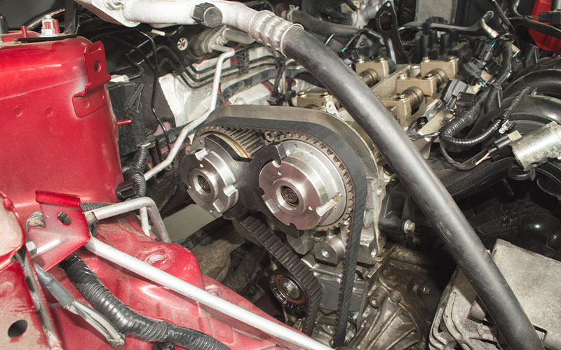 Check belts and hoses