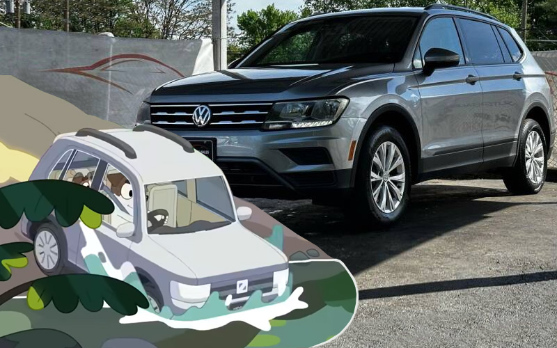 Bluey - Official Channel on Youtube _ carsforsale.com Bluey - Official Channel on Youtube _ carsforsale.com