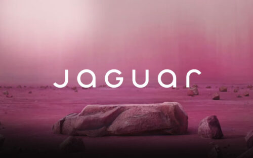 Jaguar Courts Disaster