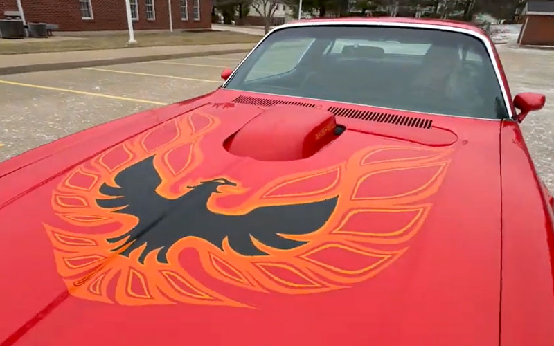 1975 Pontiac Firebird - carsforsale.com