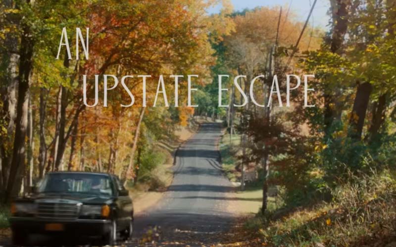 1989_Mercedes-Benz_S-Class 1989 Mercedes-Benz S-Class Driving Surrounded by Autumn Trees