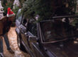 1990 Jeep Cherokee with Christmas tree on top